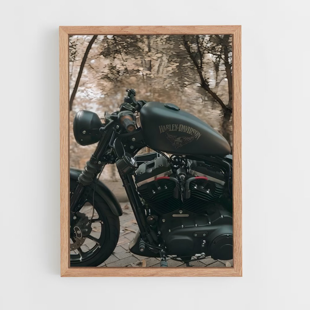 Poster Asphalt Rider – affiche Harley-Davidson (vue 4)